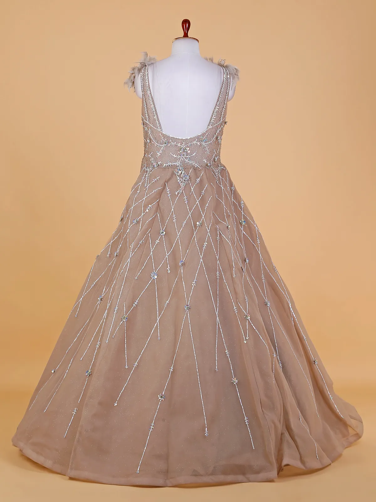 Chic beige net gown