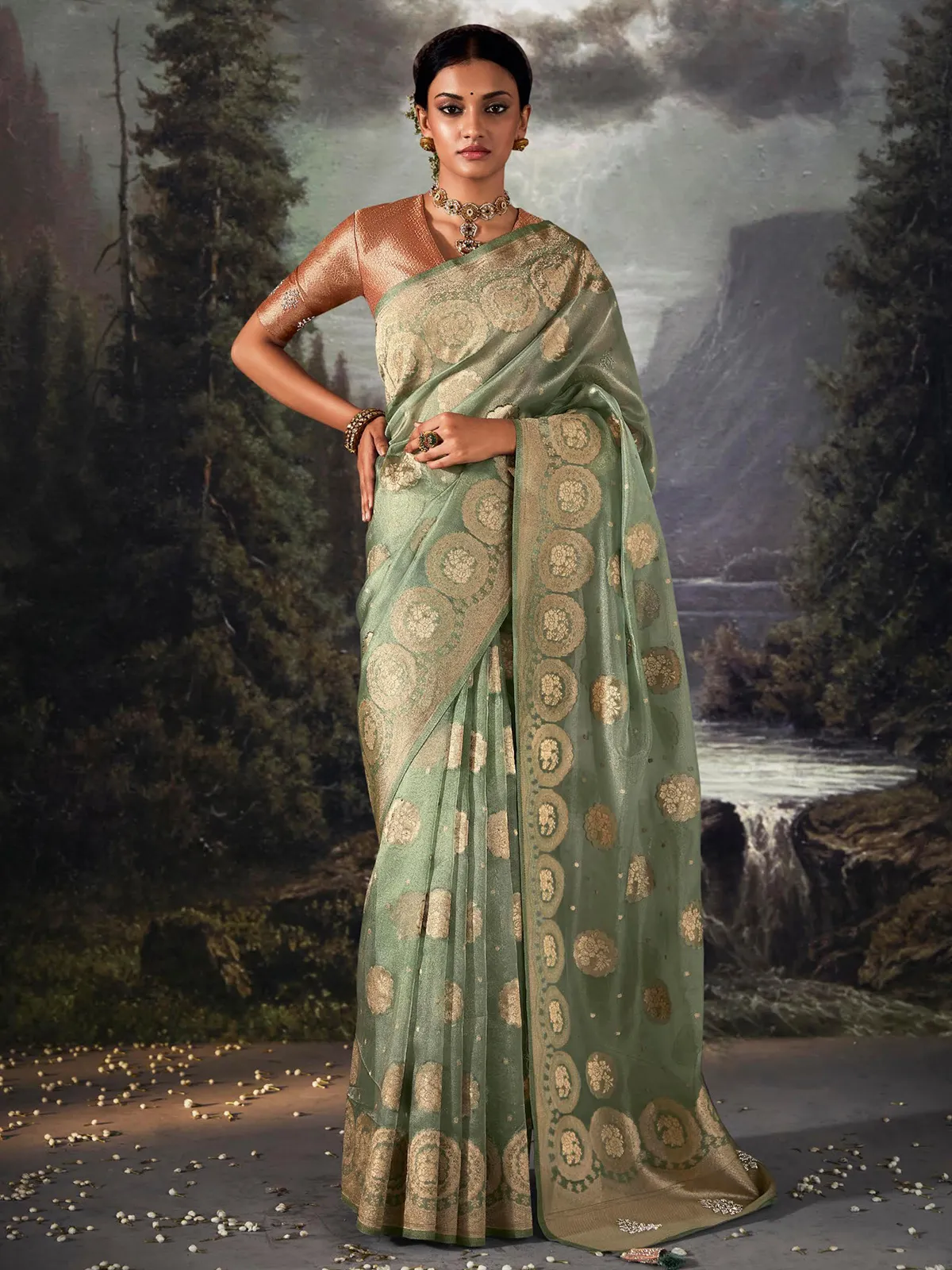 Classic pista green organza saree