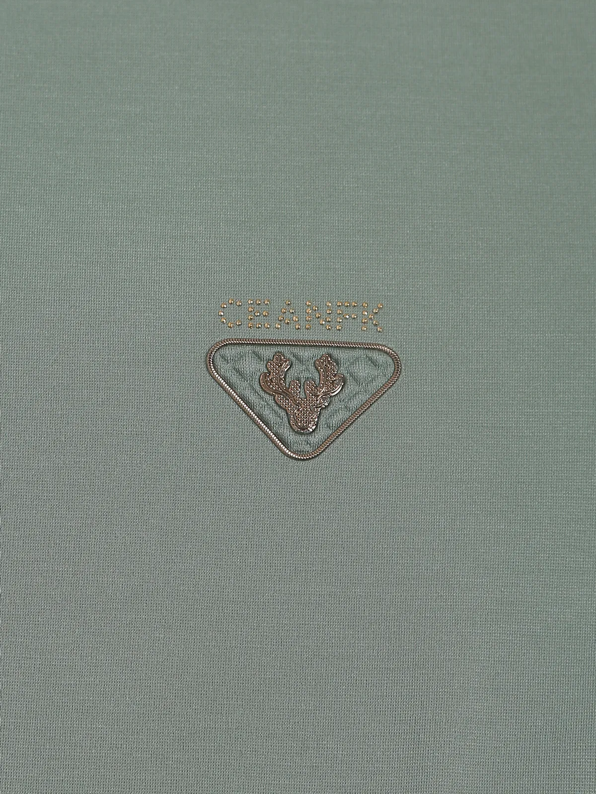 Cookyss sage green plain t shirt