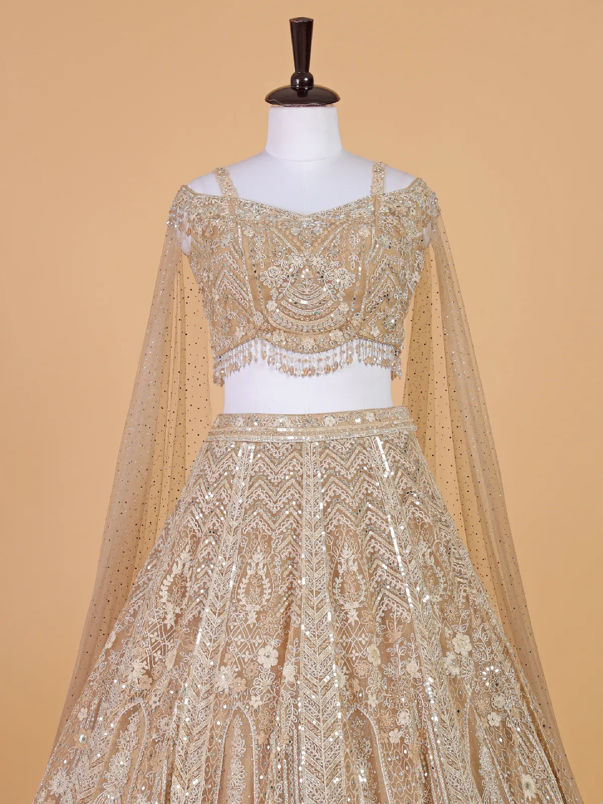 Elegant beige net lehenga choli for reception