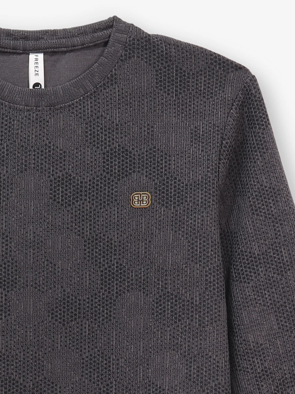 FREEZE textured grey cotton t-shirt