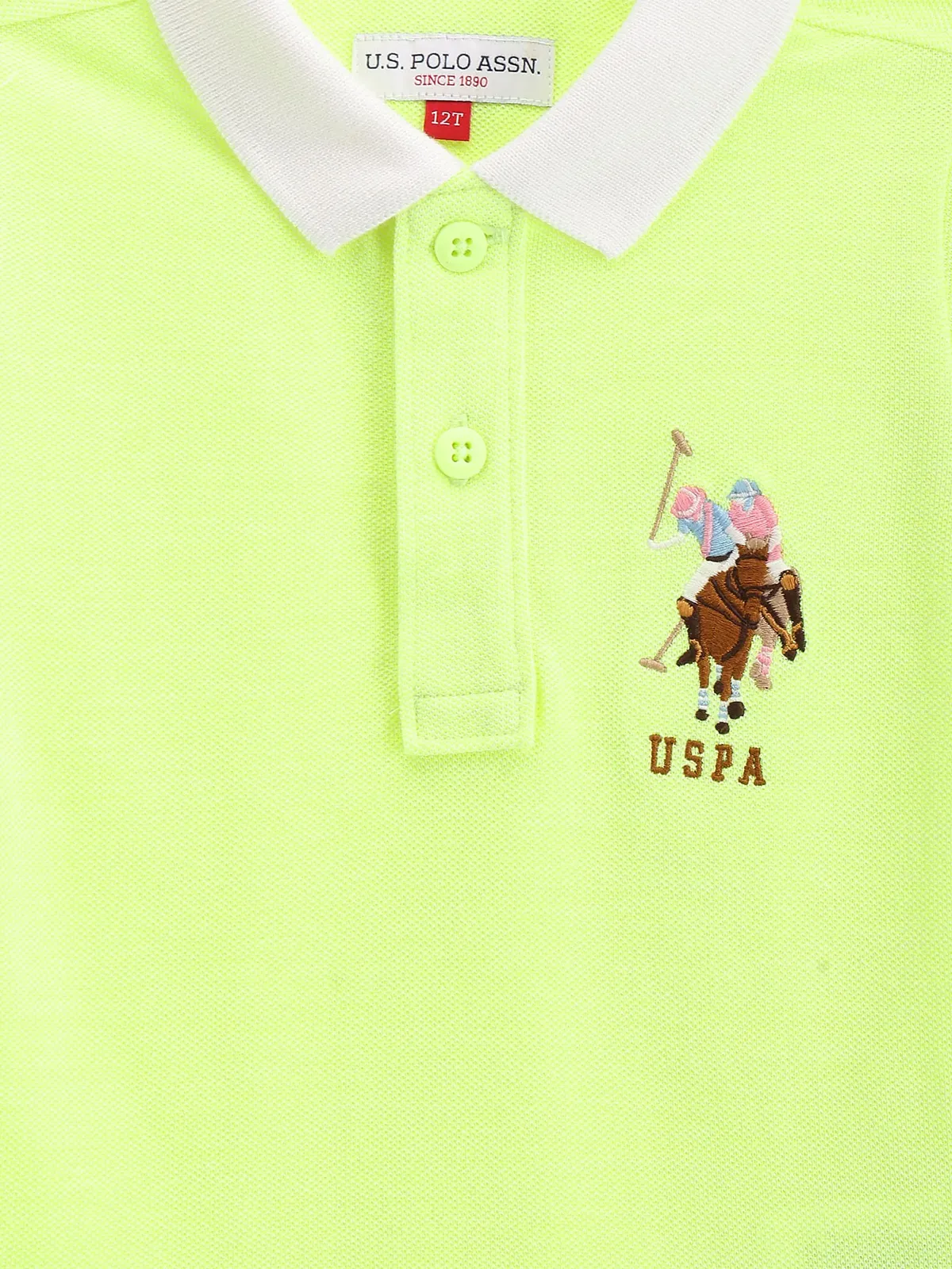 U S POLO ASSN plain light green cotton t-shirt