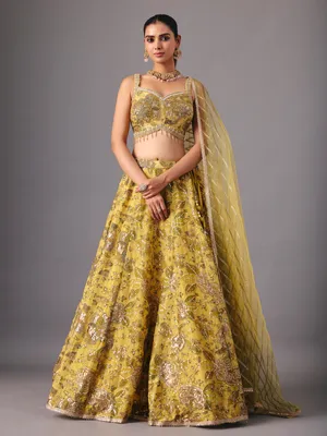Buy Party Wear Lehenga Choli For Women Online in Singapore | Singapore