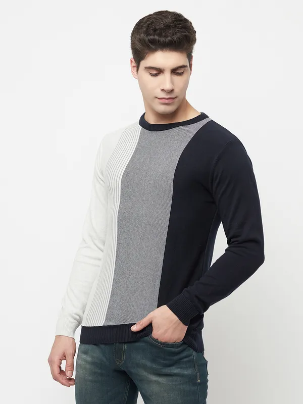 Men Navy Sweaters