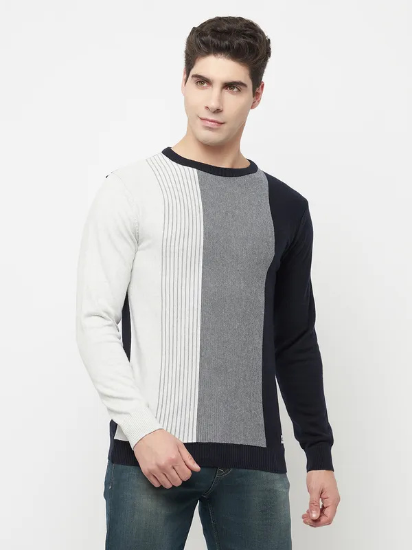 Men Navy Sweaters