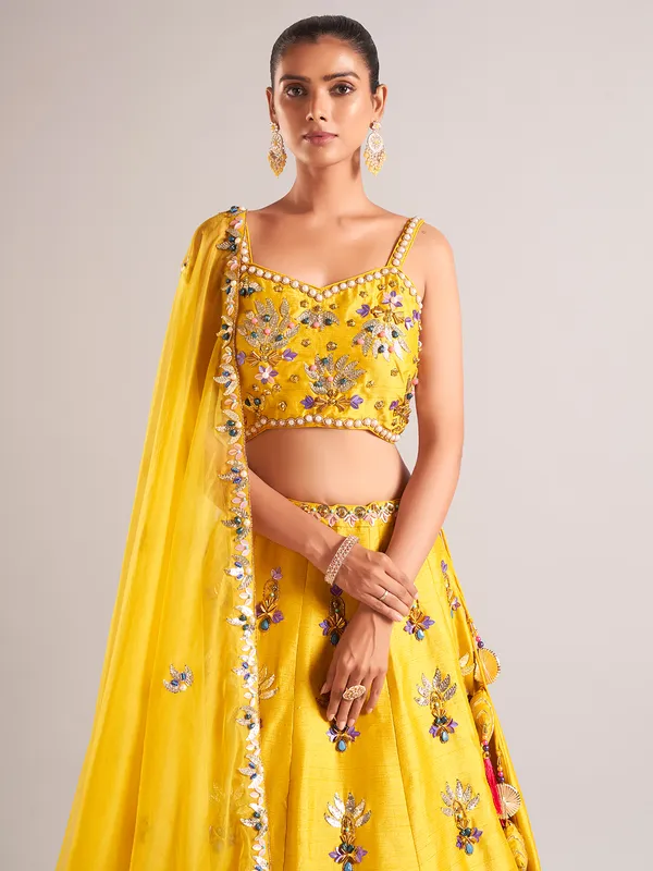 Amazing mustard yellow lehenga choli