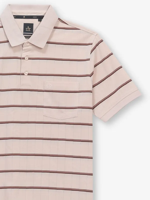 ARROW stripe coffee cotton t-shirt
