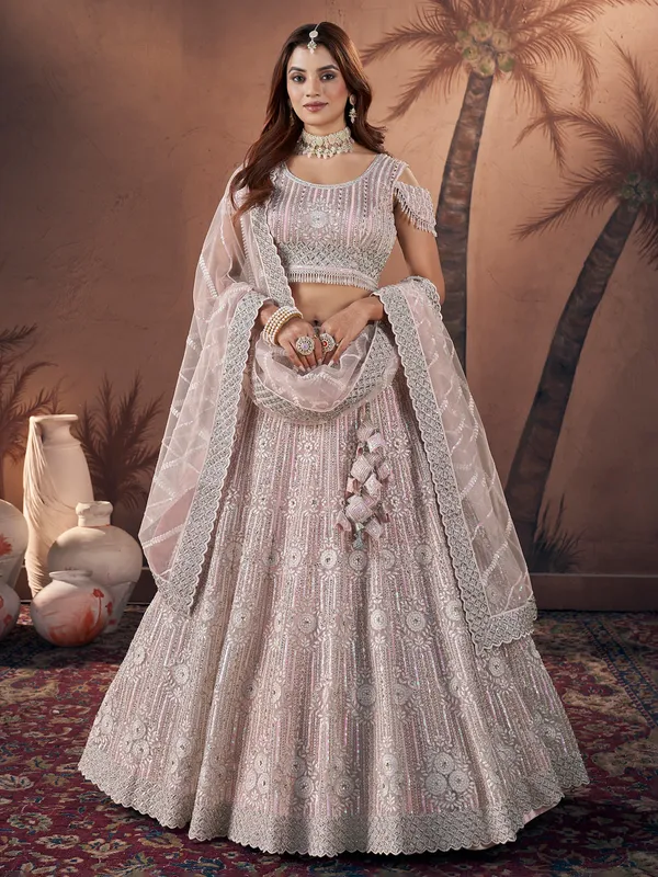 Beautiful baby pink net lehenga choli