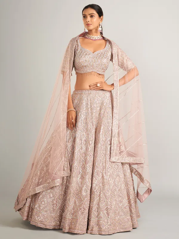 Beautiful onion hue lehenag choli in net