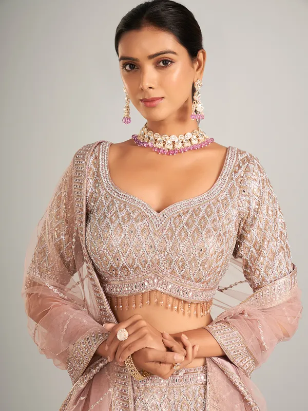 Beautiful onion hue lehenag choli in net
