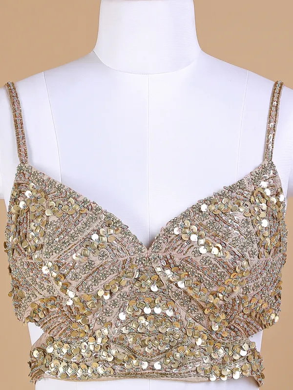 Beautiful printed beige silk lehenga choli