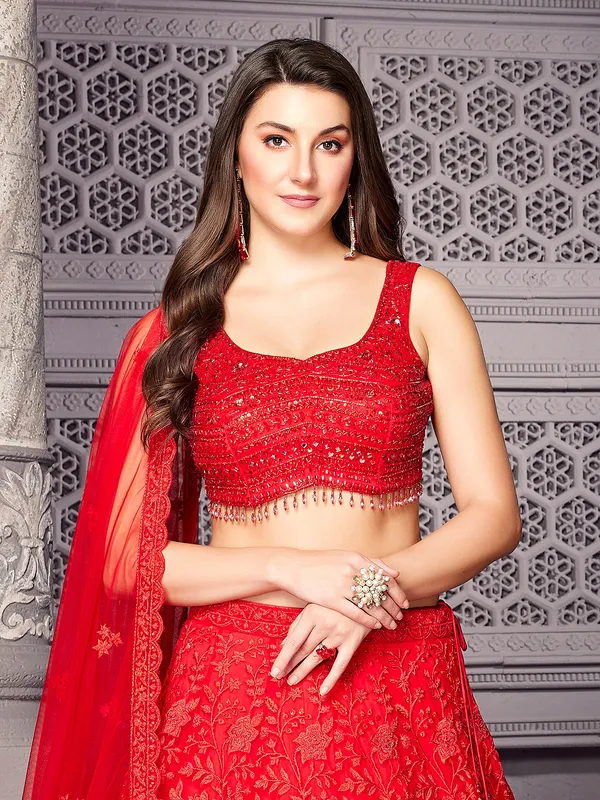 Beautiful red net lehenga choli