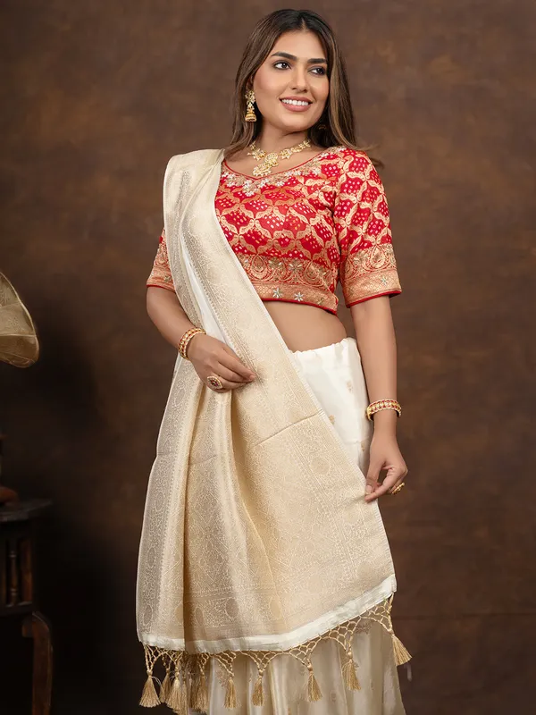 Beautiful tissue cream saree