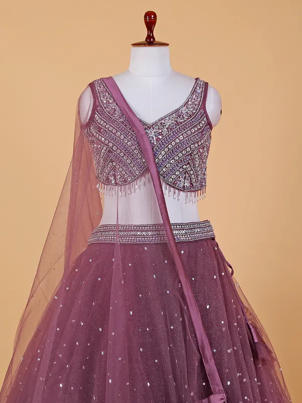 Beautiful wine net lehenga choli