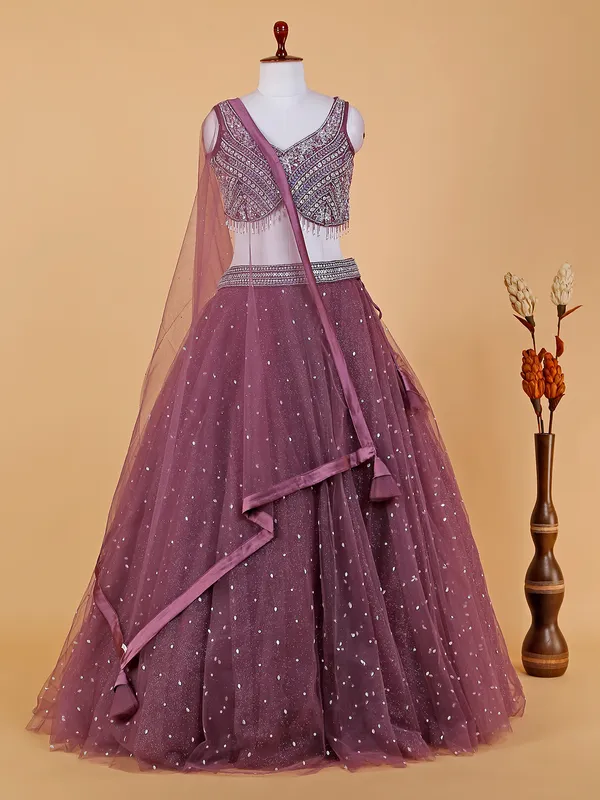 Beautiful wine net lehenga choli