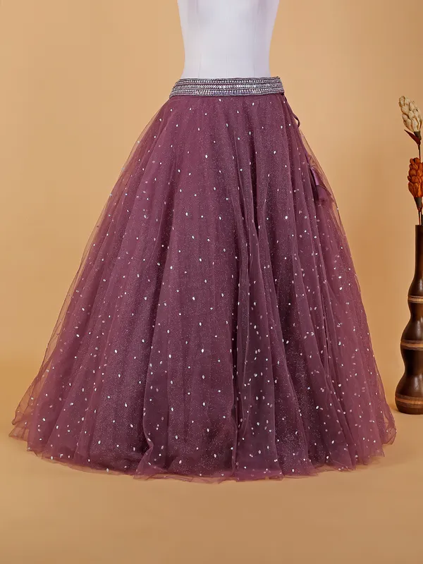 Beautiful wine net lehenga choli