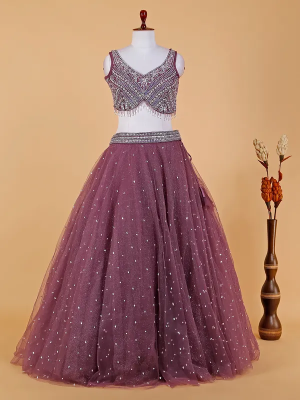 Beautiful wine net lehenga choli