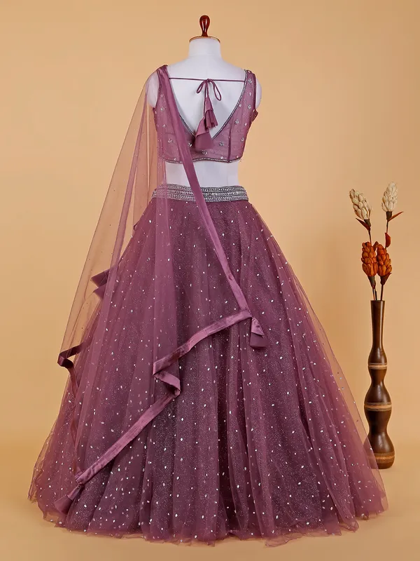 Beautiful wine net lehenga choli