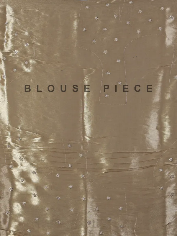 Beige embroidered tissue silk saree