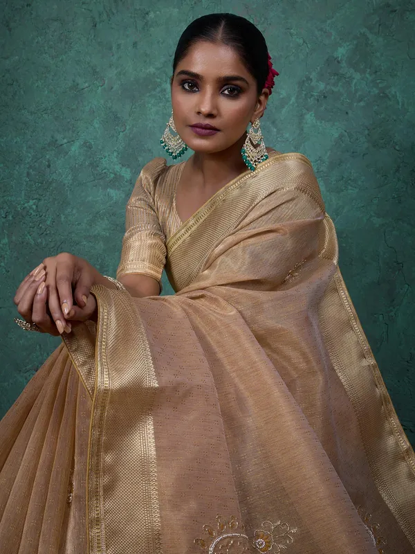 Beige linen tissue silk saree
