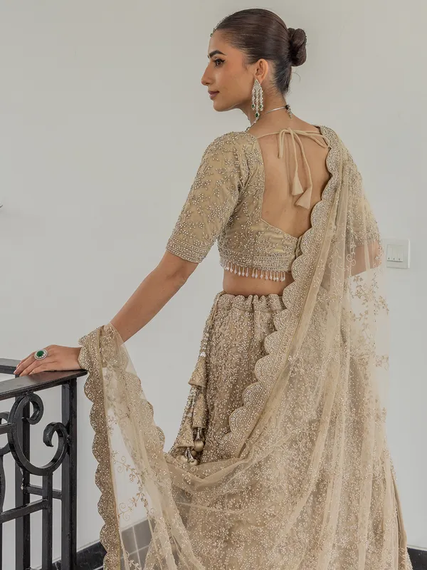 Beige net bridal lehenga choli