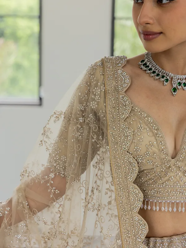 Beige net bridal lehenga choli