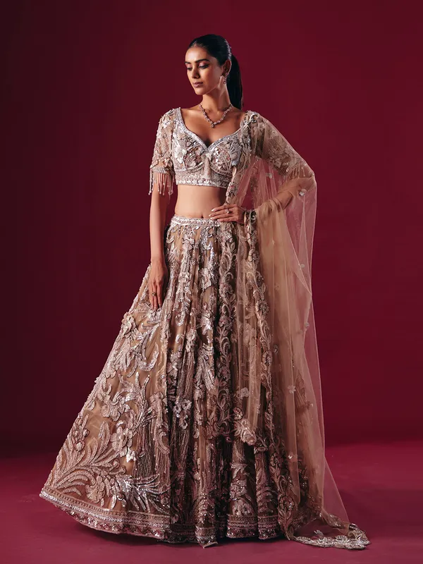 Beige net designer diamond lehenga choli