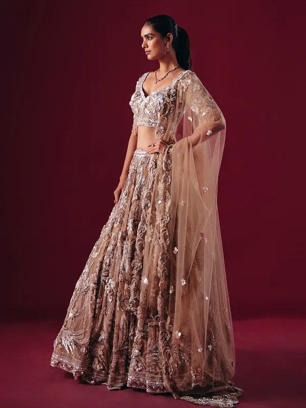 Beige net designer diamond lehenga choli