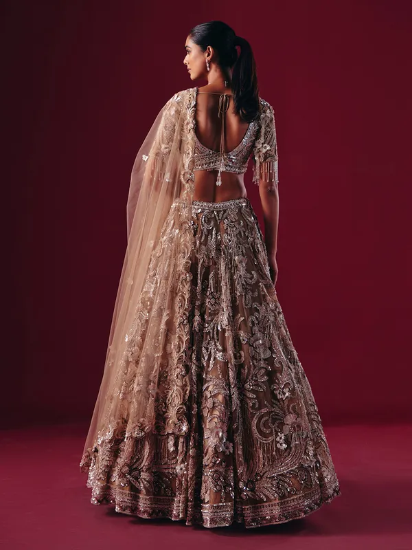 Beige net designer diamond lehenga choli