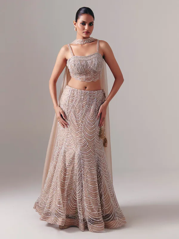 Beige net designer lehenga choli with dupatta