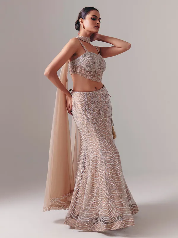 Beige net designer lehenga choli with dupatta