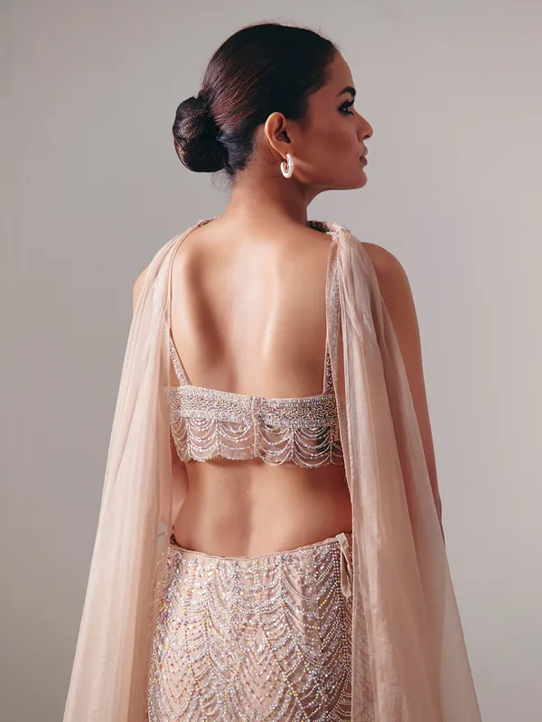 Beige net designer lehenga choli with dupatta