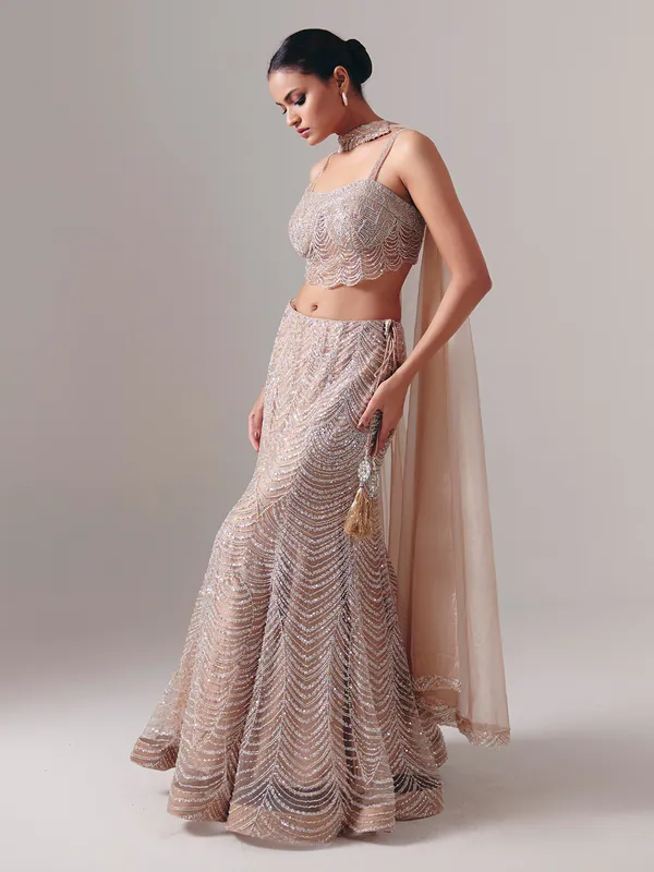 Beige net designer lehenga choli with dupatta