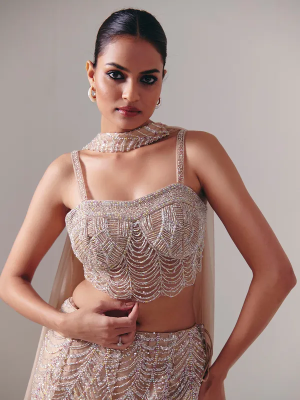 Beige net designer lehenga choli with dupatta