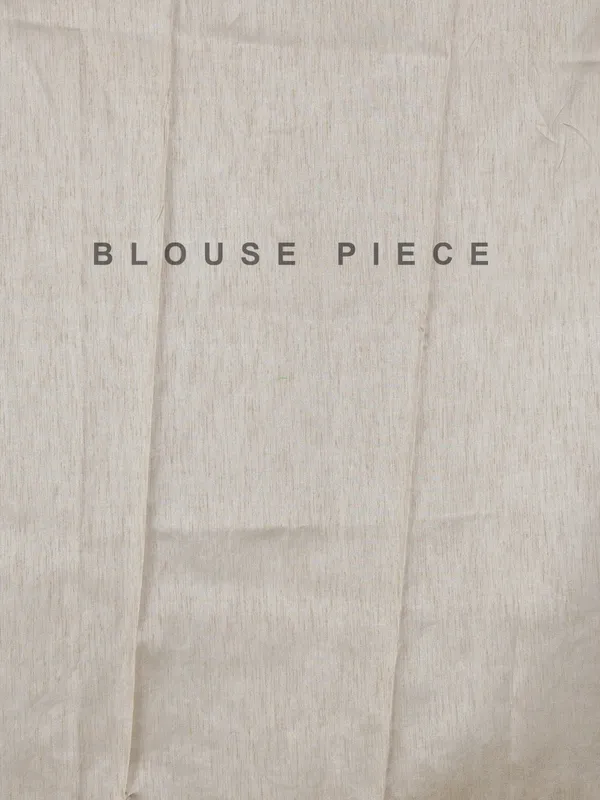 Beige organza saree with subtle resham and embroidery work