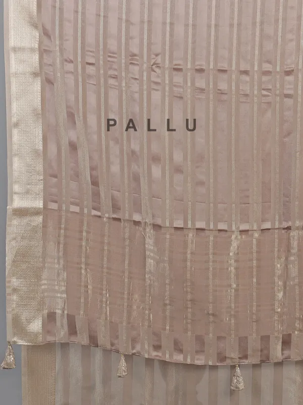 Beige organza satin saree with V neck blouse