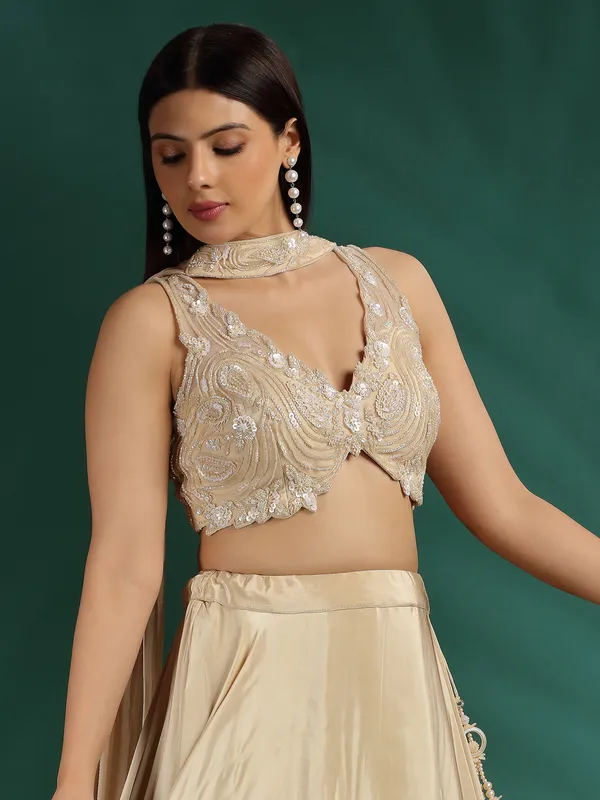 Beige silk lehenga choli with V neck blouse