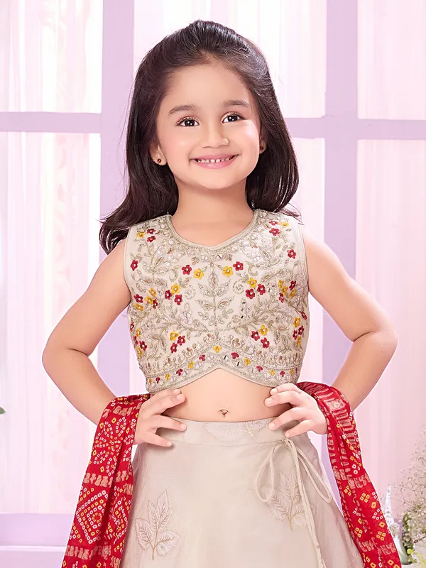 Beige silk lehenga choli with zardosi detailing