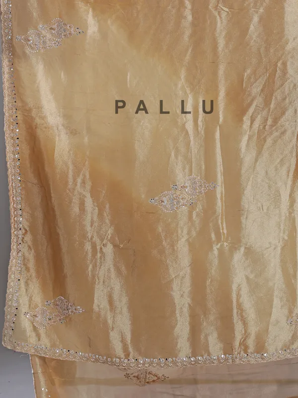 Beige tissue silk saree with embellished elegance
