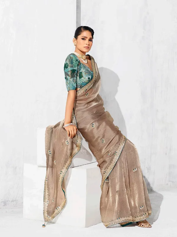 Beige tissue silk saree with resham detailing