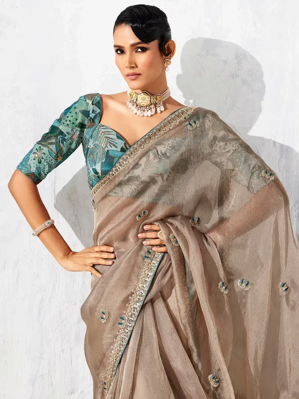 Beige tissue silk saree with resham detailing