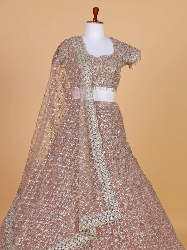 Beige wedding style net lehenga choli