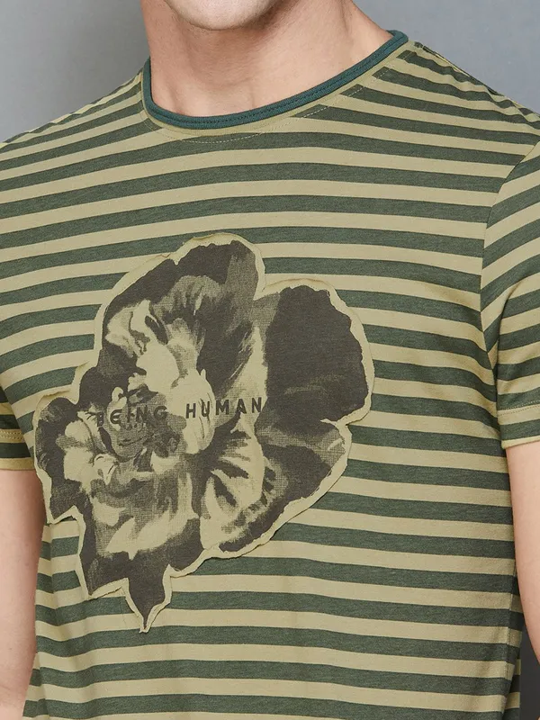 Being Human olive printed and stripe t shirt
