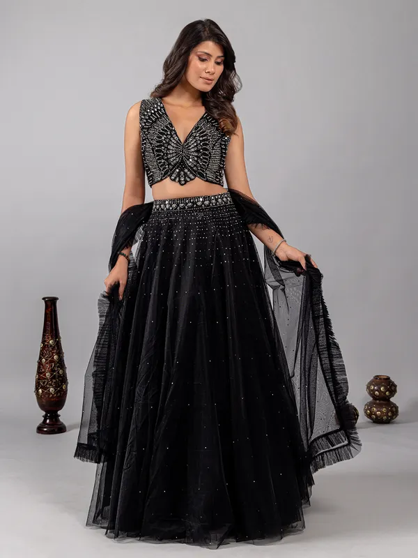 Black net lehenga choli with shimmering mirror accents