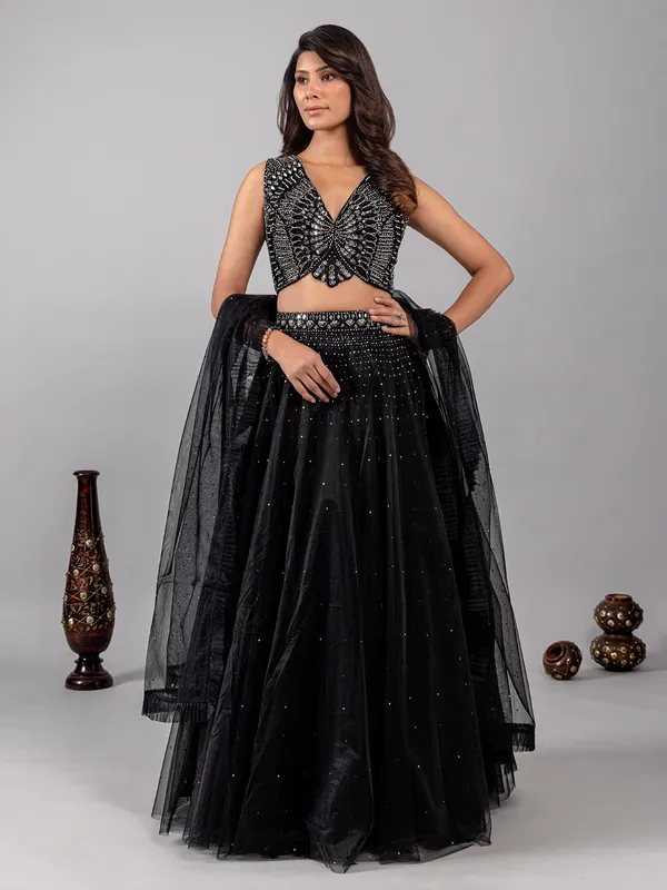 Black net lehenga choli with shimmering mirror accents