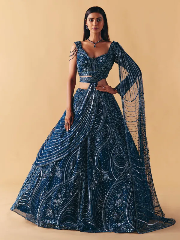Blue net designer lehenga choli with diamond detailing