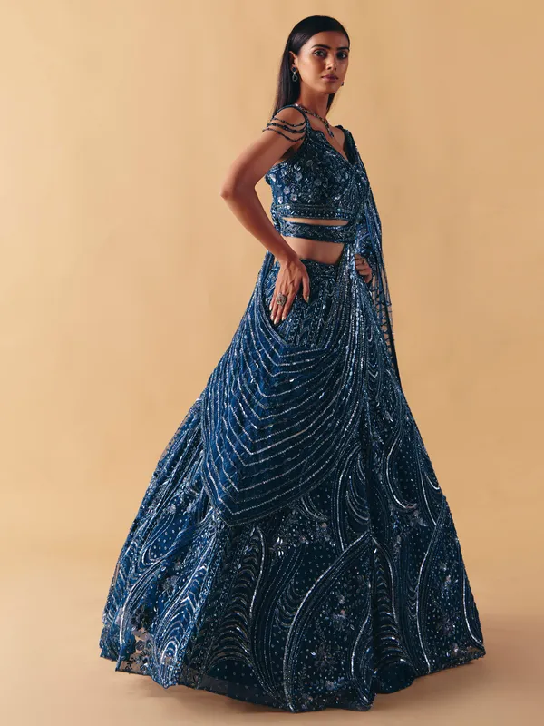 Blue net designer lehenga choli with diamond detailing