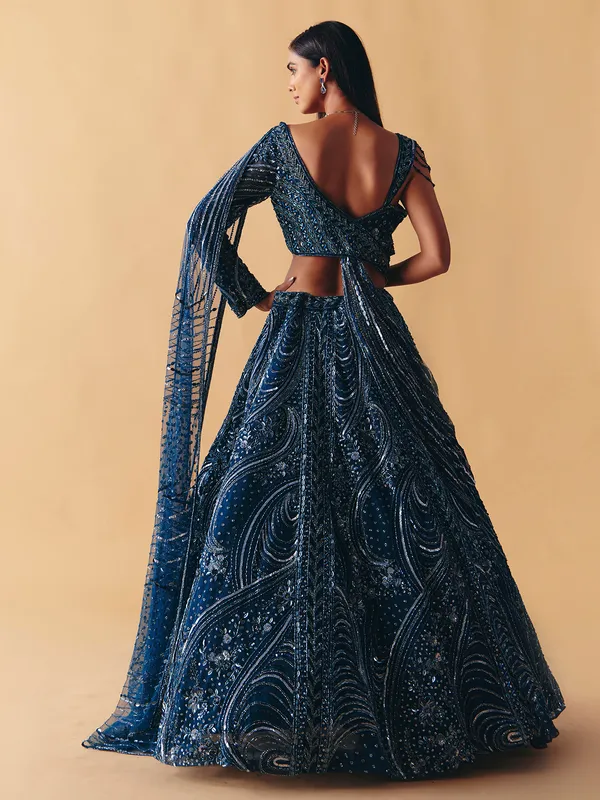 Blue net designer lehenga choli with diamond detailing