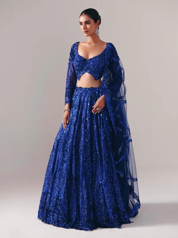 Blue net lehenga choli with regal stone sparkle