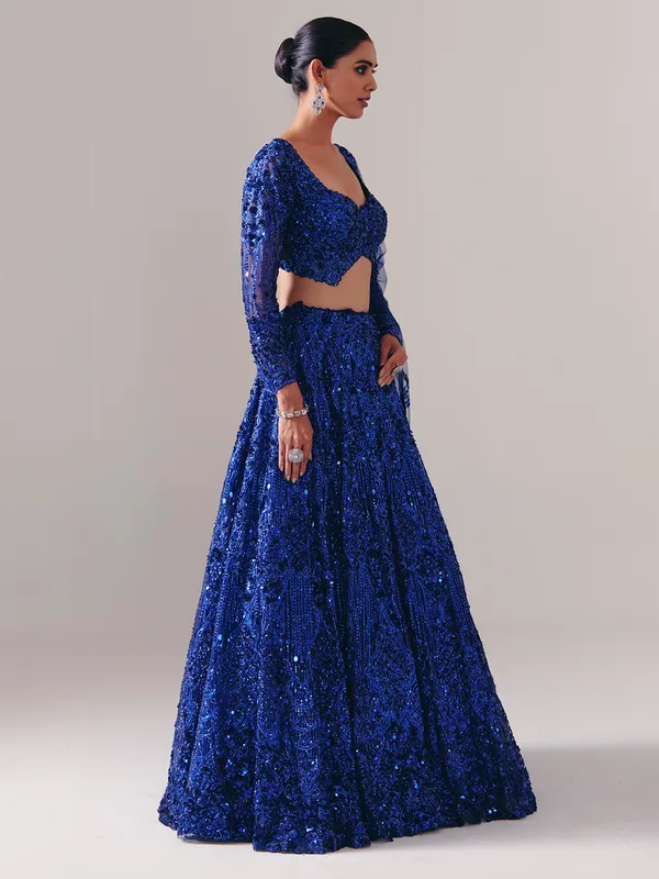Blue net lehenga choli with regal stone sparkle